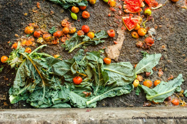 Food losses and waste: a challenge to sustainable development