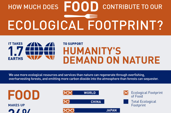 How much does food contribute to our Ecological Footprint?