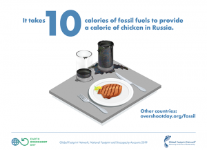 illustration of chicken and glasses of oil/petrol on table