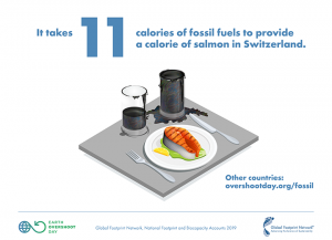 illustration of salmon and glasses of oil/petrol on table