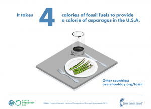 illustration of asparagus and glass of oil/petrol on table