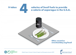 illustration of asparagus and oil barrel on table