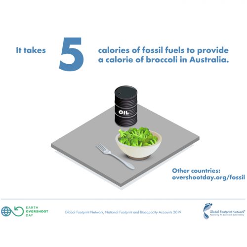 illustration of broccoli and oil barrel on table