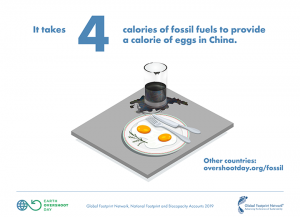 illustration of eggs and glass of oil/petrol on table