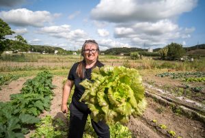 woman harvesting lettuce in short chain food system