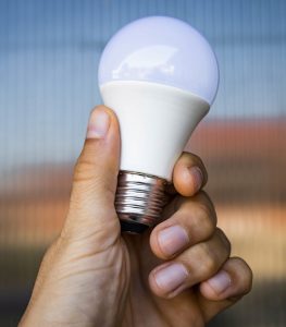 hand holding LED lightbulb
